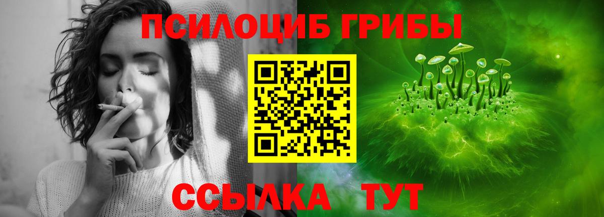 Псилоцибиновые грибы Psilocybe  Галлюциногенные грибы Psilocybine cubensis  Краснознаменск  Вход с VPN 