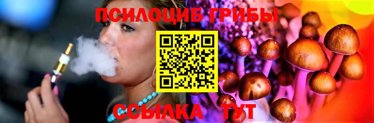 Галлюциногенные грибы мицелий Краснознаменск